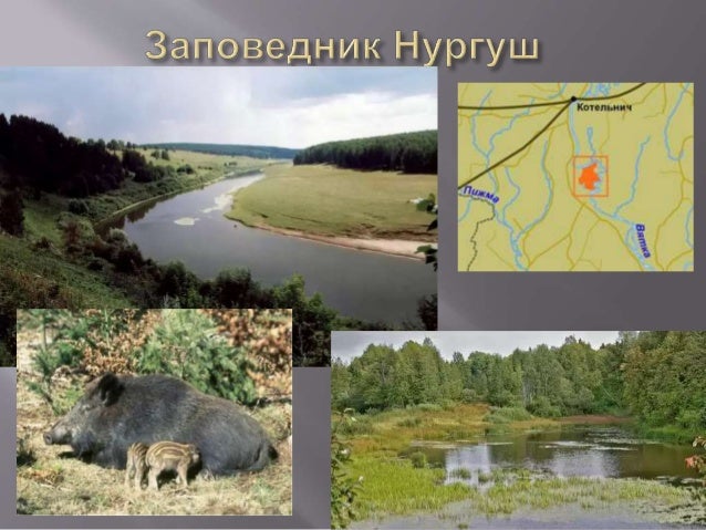 Карта кировской области памитники природы картинки Карта кировской области памитники природы картинки
